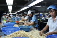 Hàng Việt vào thị trường trọng điểm: Chỉ chất lượng không đủ